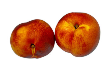 Two juicy, colorful nectarines, isolated on a white background.