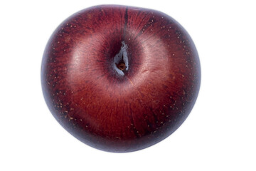 A close-up photograph of a plum with a white background, highlighting the fruit's smooth, shiny surface and deep red to purple gradient