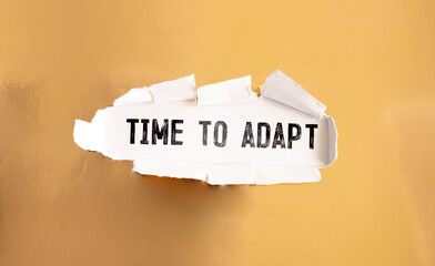 TIME FOR ADAPT. Text on natural wooden blocks. near a plant in a pot.