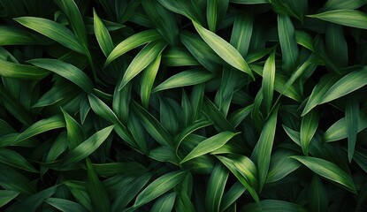 Fototapeta premium Close-up of lush green foliage. Dense, vibrant leaves in varying shades of green