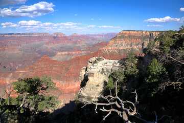 The Amazing Grand Canyon in Arizona - Panoramic views of the south rim landscapes on a sunny day.