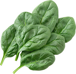 Obraz premium Fresh Spinach Leaves Close-up