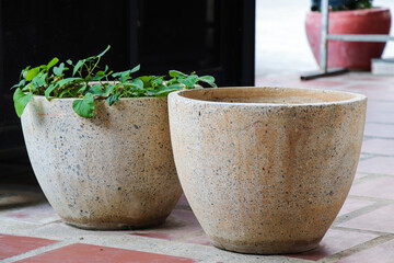 Stone Pots with Chameleon Plant on Patio
