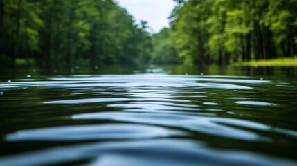 Serene River Flowing Through Lush Green Forest