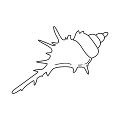 Detailed sea shell line drawing. Black outline vector for beach themes, ocean decor, or marine biology designs.