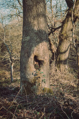 A look through my recent landscape photography.