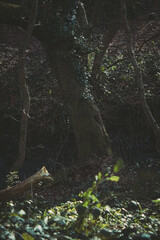 A look through my recent landscape photography.