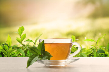 Cup of green tea on table in tea plantation