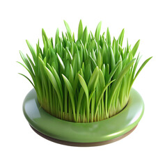 Fresh Green Grass in a Modern Pot Isolated on Black