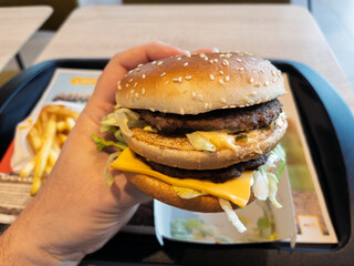 Juicy Double Cheeseburger with Fresh Toppings and Fries