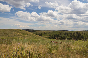Fototapeta premium Wind Cave National Park, South Dakota