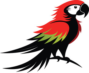 parrot on a white background