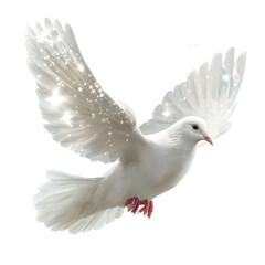 Fototapeta premium Elegant white dove in graceful flight with shimmering, sparkling wings, symbolizing peace and purity in motion.