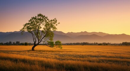 Fototapeta premium Lone tree in field representing serenity and nature, with mountains and golden sky