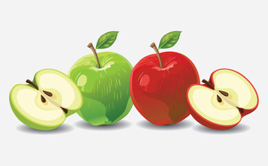 isolated illustration of a Red and Green apple EPS Vector