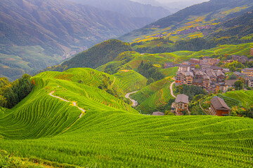 The longji rice terrace viewed from the viewpoint 2 thousand layers to the heaven. Longsheng, China