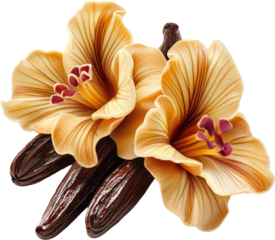 Vanilla Pods and Flowers in a Detailed Close-up