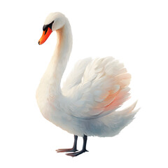 Fototapeta premium Graceful swan with pristine white feathers, elegantly posing with its curved neck against a dark backdrop.