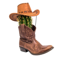 Cactus Plant In Cowboy Boot With Hat