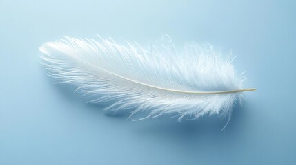 Close-up of a delicate white feather resting on a smooth light blue surface, evoking softness and lightness