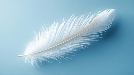 Obraz premium Single white feather lying on a smooth light blue surface with soft lighting highlighting its delicate barbs and gentle curves
