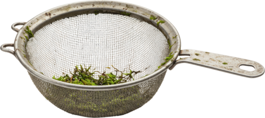 Rustic Metal Mesh Sieve with Green Moss Gardening Tool Botany Close up