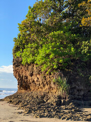 natural beauty in the morning