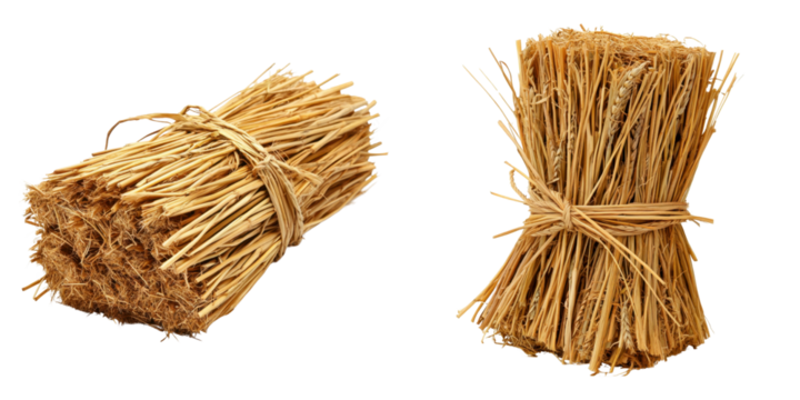 Bundles of Dried Straw Stacked for Agricultural Use and Crafts