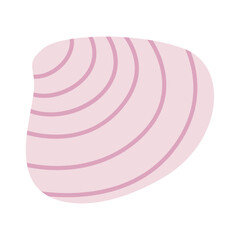 shell on white background