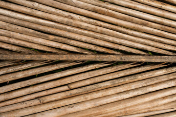 Close-up of dried coconut leaves with warm brown color and natural grain pattern. Natural texture background suitable for nature, tropical, or vintage themed design projects.