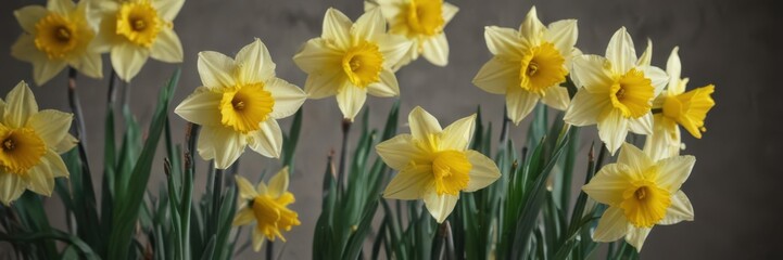 Macro shot of daffodils, textured backdrop  Spring freshness , plant, bloom