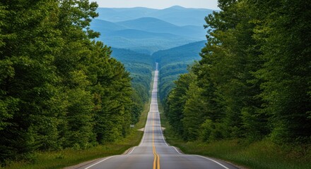 Obraz premium Highway through lush forest leading to distant mountains