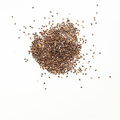 Fresh and organic chia seeds - Salvia hispanica