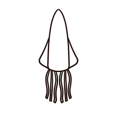 png monochromatic illustration for squid