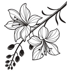 black and white floral background