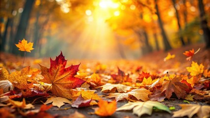 autumn leaves scattered on the ground, foliage, vibrant,  foliage, vibrant, carpet, foliage,leaves, nature, outdoors, fall