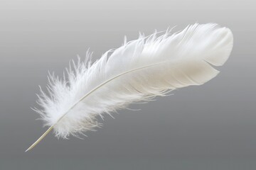 Obraz premium A pristine white feather gently resting on a dark gray surface. showcasing its intricate details and textures. ideal for nature-themed designs or artistic projects