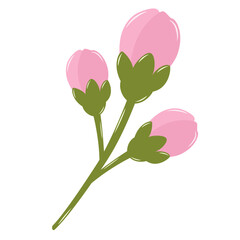 Cherry Blossom Flower Buds. Flat and Simple Pink Sakura.