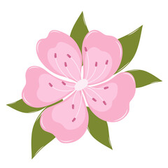 Cherry Blossom Flower With Leaves. Flat and Simple Pink Sakura.