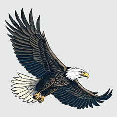 Fototapeta premium the eagle vector