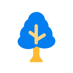 Obraz premium coniferous tree 