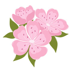 A Bunch of Cherry Blossom Flower. Flat and Simple Pink Sakura.