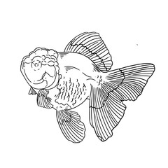 Hand-drawn illustration of a pet goldfish in vintage style, for cards, posters, and graphic design.
