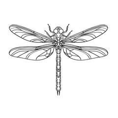 Hand-drawn illustration of a dragonfly insect in a minimalist linear style, for cards, posters, and graphic design.