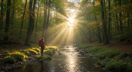 Sunbeams through Autumn Forest.  Hiker by Creek