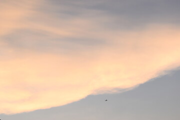 beautiful golden sky and white cloud background in springtime