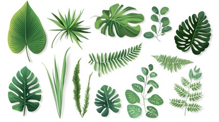 Collection of various tropical foliage illustrations.