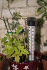 Analogue garden thermometer