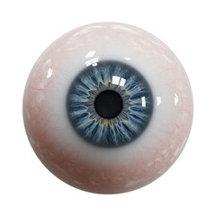 Realistic 3D Render of a Human Eye with Blue Iris