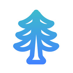 norway spruce tree 